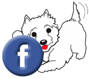 Like us on Facebook Grrreendog Grooming spa and daycare