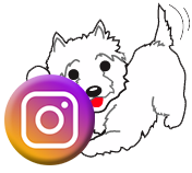 Find your pet freshly groomed by the pros at Grrreendog Grooming Spa and Daycare on Instagram