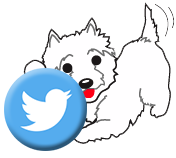 Follow Grrreendog Grooming, Spa and Daycare on Twitter