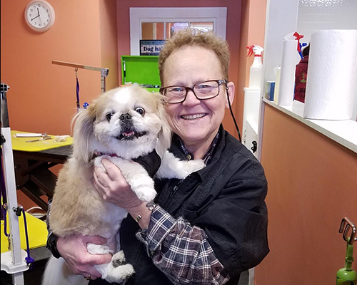 Sundance, Owner and Operator of Grrreendog Grooming, Spa and Day Camp Albany NY